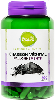 CHARBON VÉGÉTAL <br />200 gélules