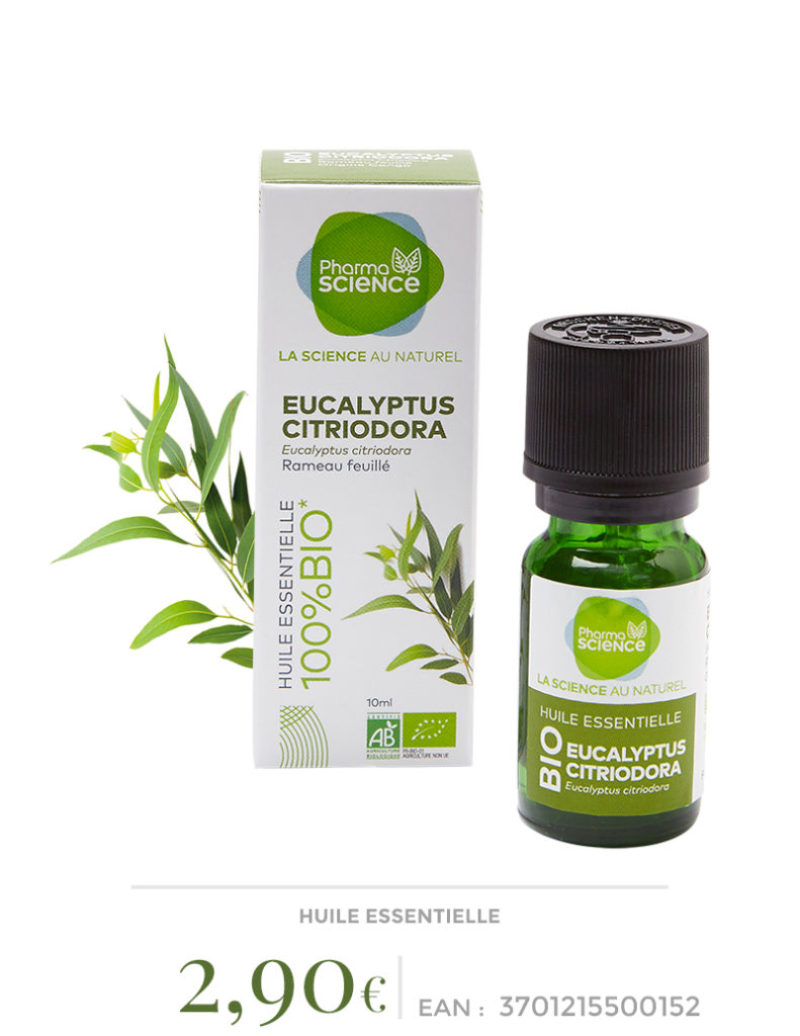 eucalypsus-citriodora