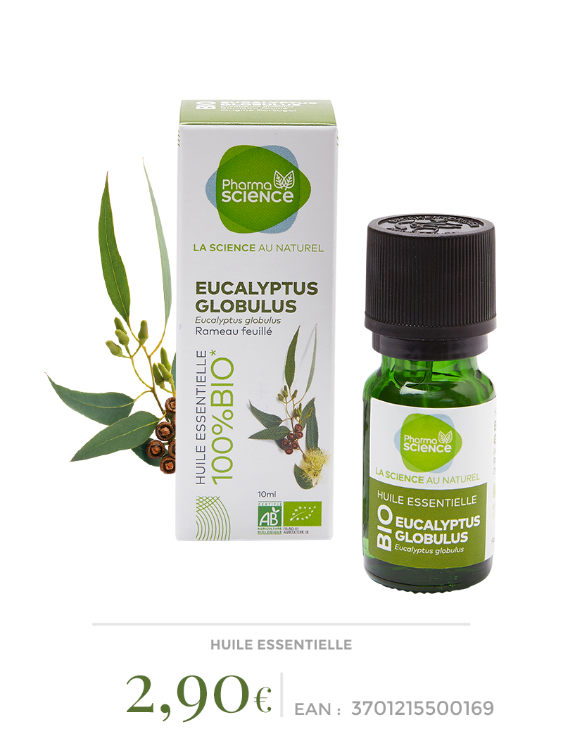 Eucalyptus globulus Bio - Huile essentielle