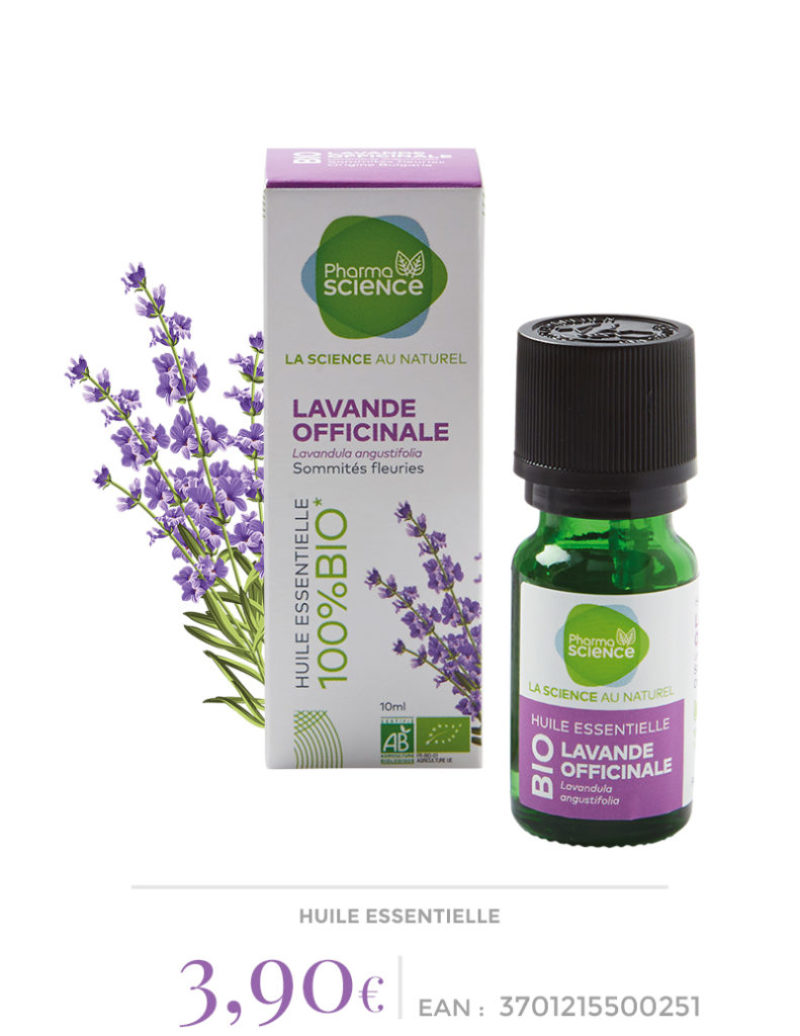 lavande-officinale