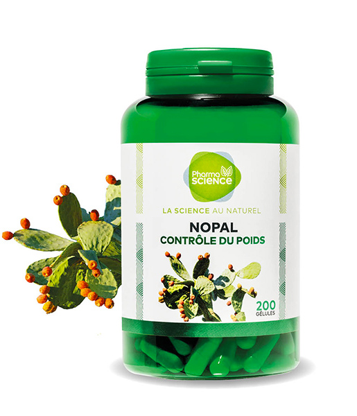 nopal2-blogavril