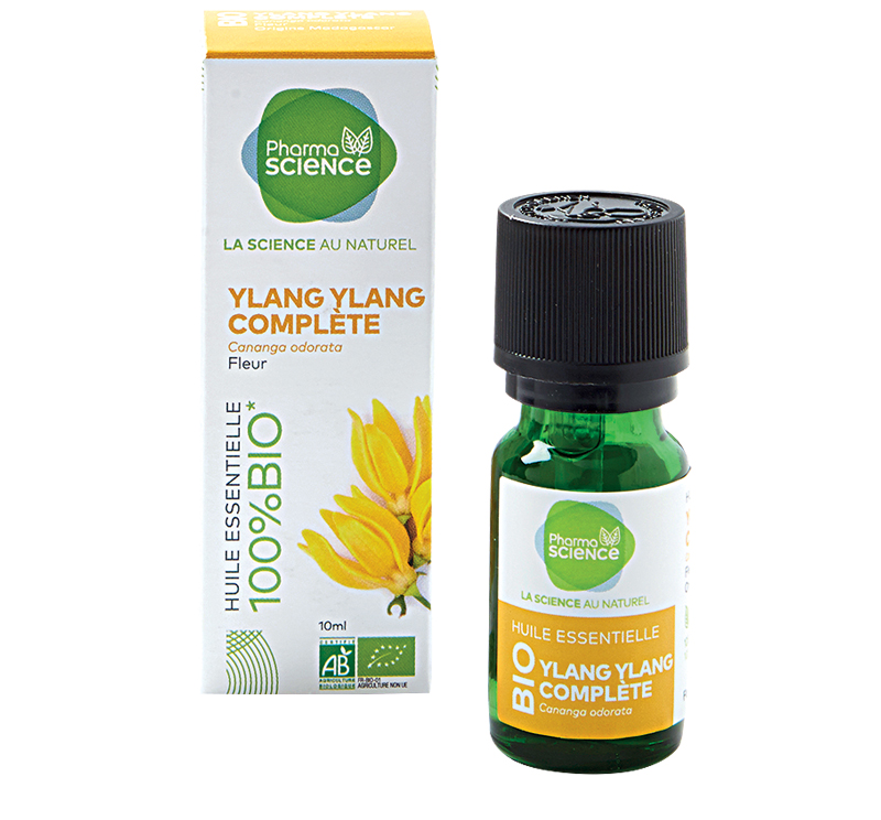 ylangylang-blogmai