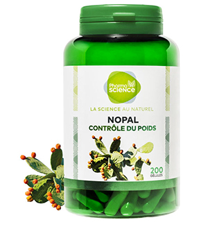 NOPAL blog