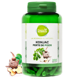 konjac blog