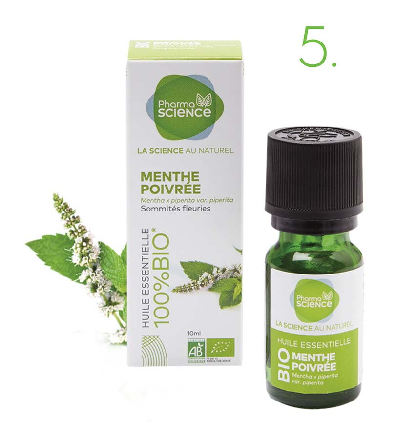 menthe-poivre-1-art